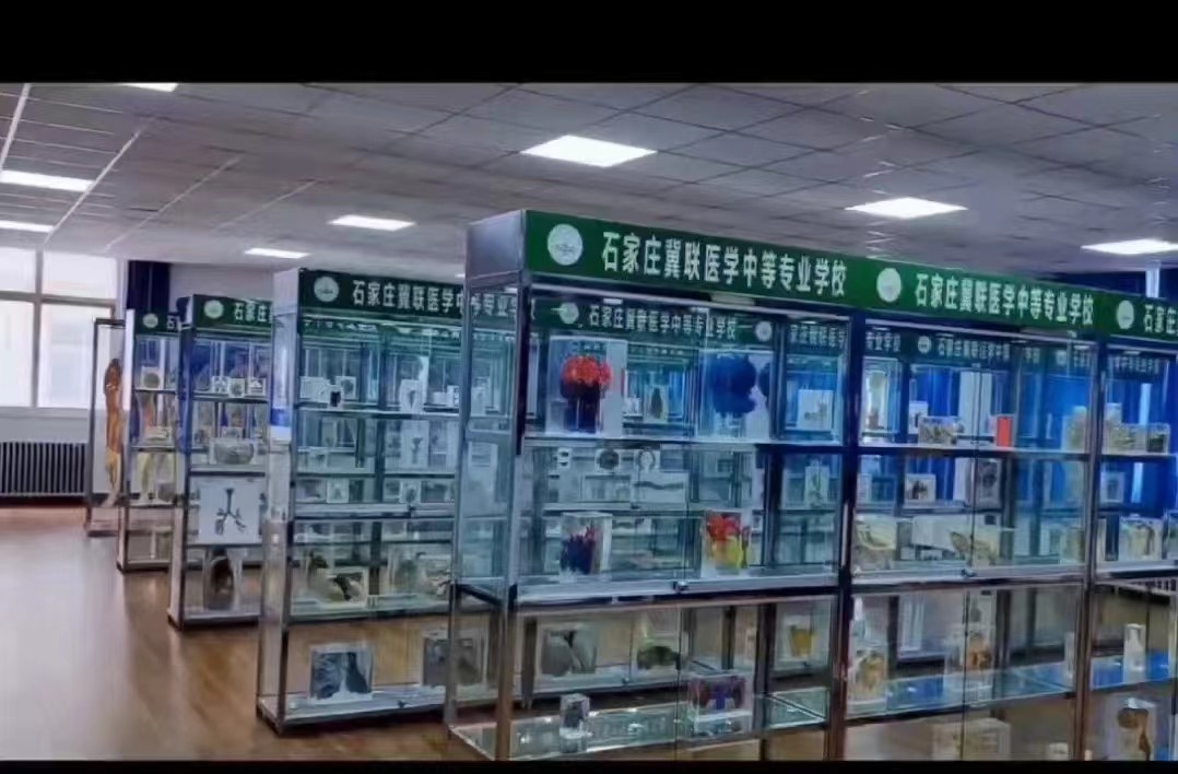 1777522197505779.jpg 石家庄冀联医学中等专业学校人体科技化里面图片.jpg